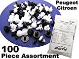 100 Pièces - Garniture En Plastique Assortiment Clip Kit de Montage - Citroen / Peugeot - Pare-chocs, passage de roue