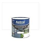 ASTRAL 5120626 Protect'fer 0,5 L Brillant Blanc