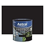 ASTRAL 5120647 Protect'fer 0,5 L Brillant Noir