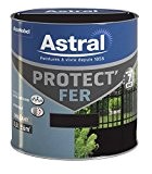 ASTRAL 5120648 Protect'fer 0,5 L Noir Mat