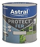 ASTRAL 5120649 Protect'fer 0,5 L Brillant Origanum
