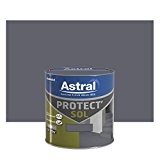 Astral 5120663 Protect'sol 0,5 L Minerai