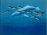 Baleine à bosse et Spinner Dolphins par Richard Ellis | Carrelage mural pour cuisine dosseret | Salle de bain Carrelage ...