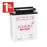 Batterie tondeuse. 12N14-3A