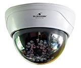 Bluestork BS-DUMYCAM/D Caméra de surveillance d'intérieure factice avec LED rouge - Blanc