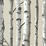 Brewster 2532-20418 Irvin Birch Tree Wallpaper, Grey by Brewster