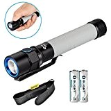 Bundle: Olight S2A Baton Cree XM-L2 LED 550 Lumens Flashlight With AA Battery and TheNines Holster (Grey)