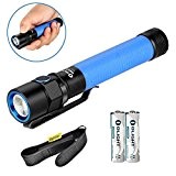 Bundle: Olight S2A Baton Cree XM-L2 LED 550 Lumens Flashlight With AA Battery and TheNines Holster (Blue)