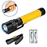 Bundle: Olight S2A Baton Cree XM-L2 LED 550 Lumens Flashlight With AA Battery and TheNines Holster (Yellow)