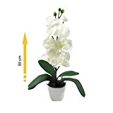 Composition artificielle Orchidée blanc 1 tige 50cm