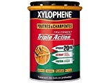 Dyrup S.A. (Ppg Retail-Europe) - Xylophene Poutre Et Charpente Phase Aqueuse Triple Action 20