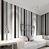 FY Fonds d’écran rayé classique moderne minimaliste rayures verticales noires et blanches papier peint non-tissé salon chambre salle à manger ...