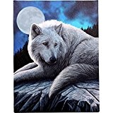 Gardien de la Nord-Fantastic Wolf Par l'artiste Lisa Parker-Tableau toile sur chassis-Plaque murale/sticker mural