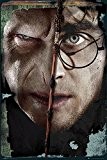 GB eye, Voldermort and Harry, Harry Potter, Maxi Poster, 61x91.5cm