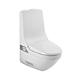 Geberit - WC japonais - WC au sol lavant séchant filtration odeur AquaClean 8000Plus Geberit