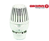 Giacomini - Robinetterie radiateur - Tête thermostatique R460 - : R460X001