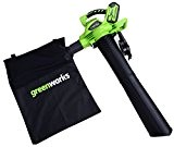 Greenworks Tools 24227 Souffleur/Aspirateur à feuilles sans fil 40V Lithium-ion (sans batterie ni chargeur)