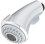 GROHE 46 173 ie0 – Douche main ()