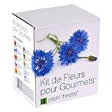 Kit de Fleurs pour Gourmets par Plant Theatre - 6 variétés de fleurs comestibles à cultiver - Idée cadeau