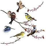 'Komar Window Stickers pour "Birds, 1 pièce, multicolore, 16003