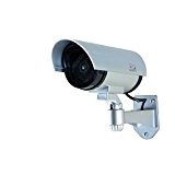 LogiLink sc0202, caméra de vidéosurveillance avec détecteur de mouvement