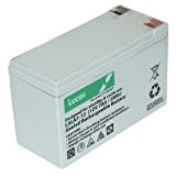Lucas Batterie 7.0Ah 12 V Batterie pour coupe-bordures Flymo ct250 x