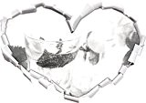 lunettes de Mojito avec effet de charbon de bois à la menthe En forme de coeur dans le regard 3D, ...