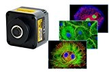 Mabelstar meilleure vente Scccd Série C-Mount USB2.0 5.2 m Te-cooling CCD Camera, Capturer des images de qualité supérieure