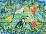 Oiseaux Tropicaux par Paul Brent | Carrelage mural pour cuisine dosseret | Salle de bain Carrelage murale