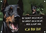 Panneau chien du plaque Doberman Pinscher nain – TU vois pas me...