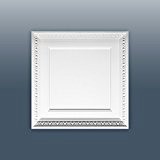 Panneau décoratif de porte, du mur et du plafond Orac Decor F31 LUXXUS Elément décoratif de polyuréthane | 60 x ...
