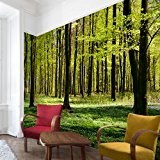 Papier peint intissé - Top fond d'écran forêt - Mural Large papier peint photo intissé tableau mural XXL photo 3D ...
