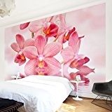 Papier peint intissé - Top fond d'écran orchidées - Mural Large papier peint photo intissé tableau mural XXL photo 3D ...