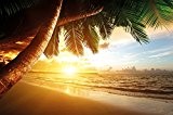 Papier peint qui montre une plage de sable avec le coucher du soleil – image murale du paradis avec des ...