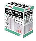 ParexGroup 2573 Joint mur 1 kg Blanc Email