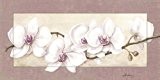 Photos Cadre photo digital Print Artland Fleurs Plantes Fleurs Andres : Branche d'orchidée artificielle _ dans beerentönen Taille : 51,4 x 101,4 cm choix ...