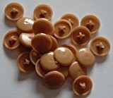 Plastic BEECH Press-Fit Pozi Screw Head Covers Caps, pack of 50 by Celtic Woods
