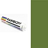 Rainbow RAL de couleur Silicones Vert fougère calfeutrer Mastic RAL 6025 300 ml