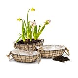 Relaxdays Corbeille à fleurs lot de 3 paniers ovale plantes en métal et jute et film plastique, naturel