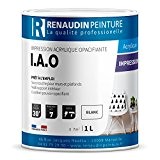 Renaudin Peinture 114119 Iao Impression acrylique mur/plafond intérieur/extérieur Opacifiante Blanc 1 L