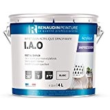 Renaudin Peinture 114121 Iao Impression acrylique mur/plafond intérieur/extérieur Opacifiante Blanc 4 L