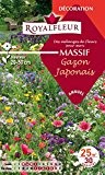 Royalfleur PFRF08351 Graines de Mélange de Fleurs mon Massif Gazon Japonais 25 m²