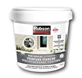 RUBSON 1802026 Stop Infiltrations Bas De Mur Blanc pot plastique 0.75l