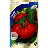 Sème la vie - Graines de tomates Marmande
