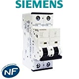 Siemens - Disjoncteur électrique bipolaire 20 A courbe D pour climatisation, pompe à chaleur et pompe de relevage