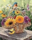 Starail Cadre en bois 40,6 x 50,8 cm de peinture par numéros pour peinture – Un Panier de fleurs et oiseaux