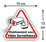 Sticker Autocollant " Etablissement sous Vidéo Surveillance " 15 cm