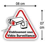 Sticker Autocollant " Etablissement sous Vidéo Surveillance " 8 cm