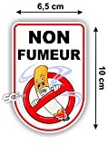Sticker " Zone Non Fumeur " Autocollant 10 cm