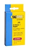 Tacwise 91/25mm Petites agrafes galvanisées Boîte de 1000